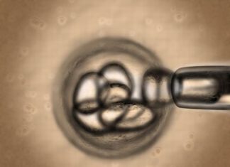 5 божевільних речей, які наука дізналася про людському тілі останнім часом