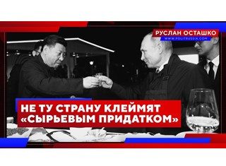 Не ту країну таврують «сировинним придатком»