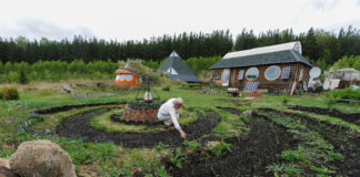 ЗМІ зясували, кому з росіян може прийти повідомлення про знесення дачі