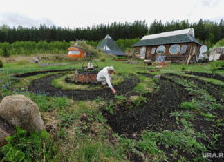 ЗМІ зясували, кому з росіян може прийти повідомлення про знесення дачі