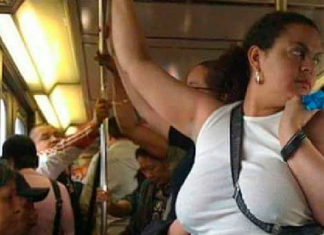 БУЛА НА ВИСТАВЦІ ГАДЮК… ПОВЕРНУЛАСЯ З МЕДАЛЛЮ та ГРАМОТОЮ!!!