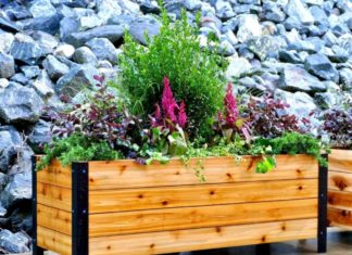 Цікаві варіанти організації міні-клумб