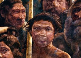 Вчені визначили «прабатьків людства»