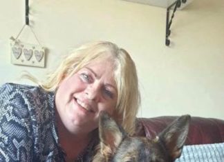 Німецька вівчарка після аварії отримала бионическое особа