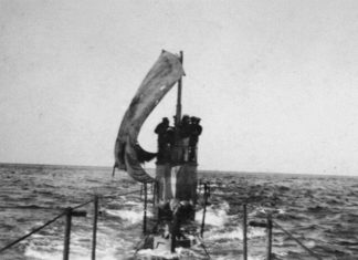 Щука під вітрилом