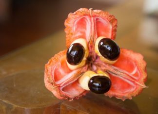 Фугу, кешью: краще двічі подумати перед тим, як вживати ці делікатеси