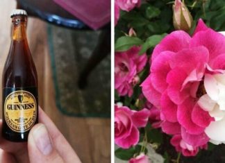 17 знімків від людей, яким страшенно пощастило з їх несподіваними знахідками