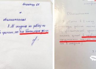 20 забійних пояснювальних, завдяки яким їх автори зберегли роботу
