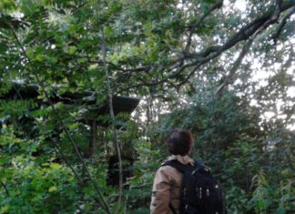 Зелене пекло