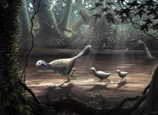 Політ динозаврів міг виникнути швидкого бігу