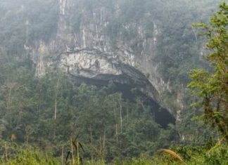 Випадково виявлений цілий світ