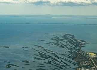 Не варто відразу шукати зраду: в Україні готуються до найгіршого з-за рішення Морського трибуналу ООН