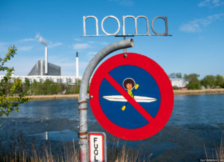 Кращий ресторан світу: рибячий міхур, мурахи і шкіра в шоколаді