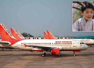 Рейс з принцом бутану на борту зупинили через навалу мурах (3 фото)