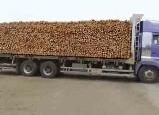 Просто гифки, всякі і різні (15 гіф)