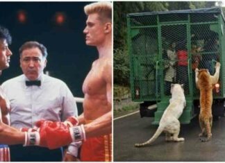 Цікаві факти про людей і події, які відкриють для вас щось нове (40 фото)