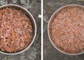 Пінгвіни, білі ведмеді і північні олені: чому холодолюбні тварини не вимирають від потепління?