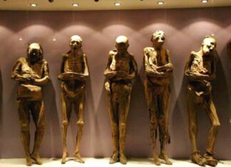 Навіщо за часів середньовіччя європейці їли єгипетські мумії