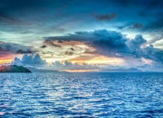 95% поверхні океану стануть непридатними для життя