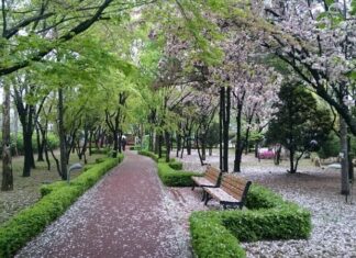 Південна корея, погляд з боку (17 фото)