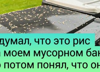20 + чоловік, які раптово засумнівалися у виразі ” мій дім-моя фортеця»