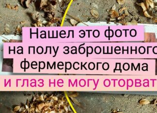 18 знімків з покинутих людьми місць, при одному погляді на які по тілу біжать мурашки