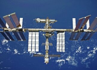 Іспити перед відправкою на мкс здають режисер шипенко і актриса пересільд