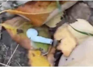 Хлопець відчув розчарування від своєї знахідки