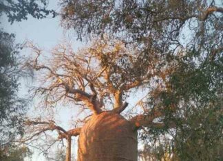 15 фотографій, які розширять ваш кругозір (16 фото)