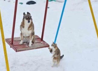 Наша реальність знову зламалася (30 фото)