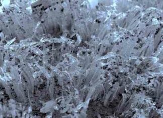 Тисячі крижаних голок можуть пояснити загадкові візерунки на землі і марсі