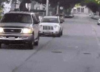 Гифки дня (18 гіф)