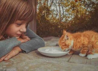 17 добрих фактів, які змусять вас повірити в диво