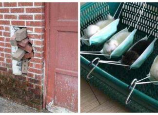 Я у мами інженер: 22 фото-прикладу, коли зроблено кострубато, але функціонально