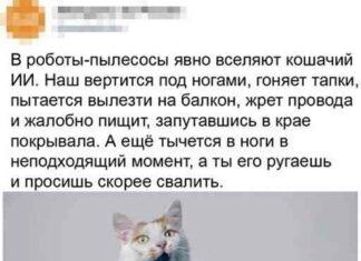 Смішні і пізнавальні картинки (25 фото)