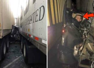 Відео: везунчики, які пережили неймовірне