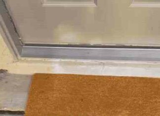 Гифки дня (18 гіф)