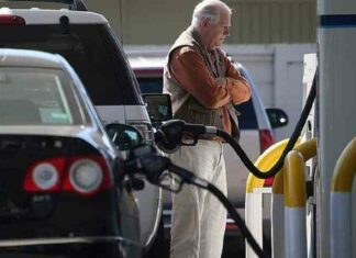 Не купуй електрокар-побережи природу!