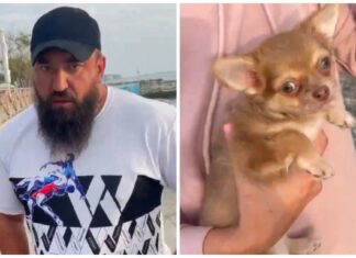 Хвилинка толерантності з сочі: істеричний гей і охоронець пляжу влаштували розбірки через чихуахуа