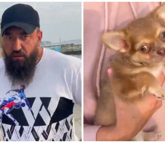 Хвилинка толерантності з сочі: істеричний гей і охоронець пляжу влаштували розбірки через чихуахуа