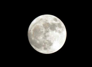 Альберт пірпойнт-останній кат імперії