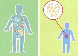 Що відбувається з організмом людини після 40 років – до цього потрібно бути готовим кожному