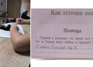 20 історій, які доводять, що шкільні домашні завдання і для батьків — стрес і валеріана