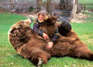 20 животів, які треба негайно почухати