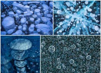 Замерзлі бульбашки повітря в озері