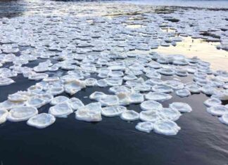 Млинці, квіти і волосся: 5 незвичайних видів льоду, що зустрічаються в росії