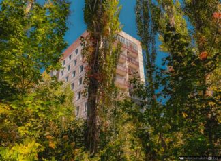 Як заростає прип’ять через 35 років після аварії на чаес