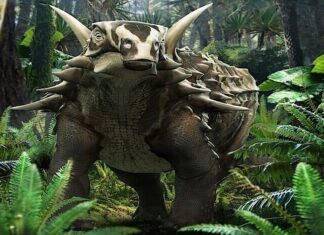 Анкілозаври були повільними і погано чули