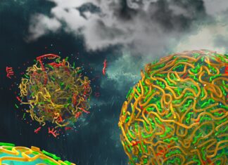 Дождь как родоначальник жизни: Ученые открыли ключ к возникновению первых клеток