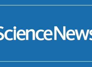 Когда любовь к лягушкам становится миссией